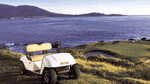 Terrain is no handicap to electric and gas-powered golf carts