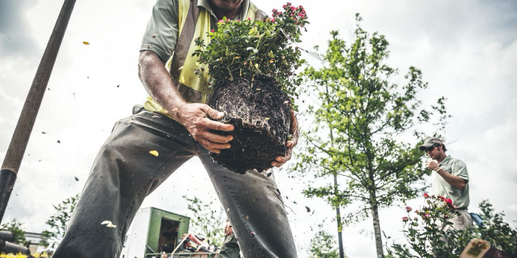 Landscape maintenance supplies and equipment are often near the top of local government shopping lists